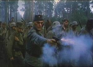 PDVD_029.jpg