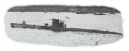 diver.jpg