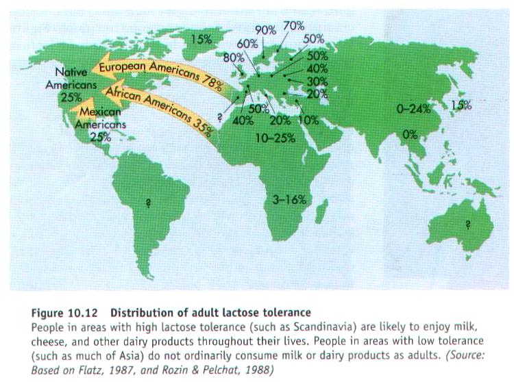 lactosedist.JPG