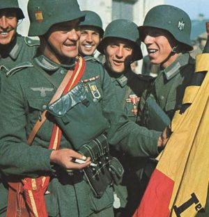 300px-Blue_Division_263_Regiment.jpg