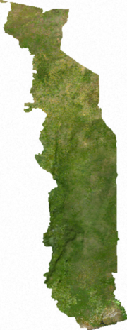 avlång koloni.png