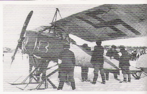 von rosen 1.jpg