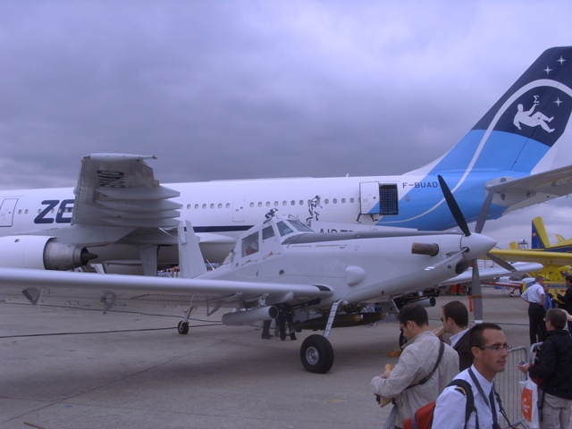 SI852226.JPG