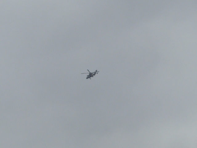 SI852242.JPG