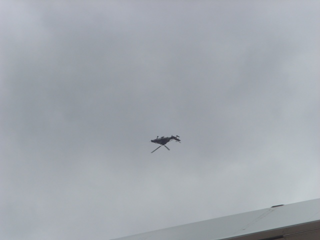 SI852245.JPG