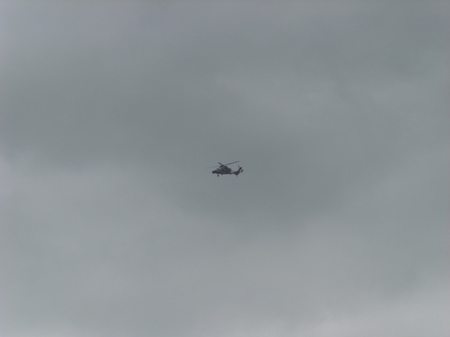SI852244.JPG
