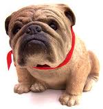 Dog.jpg