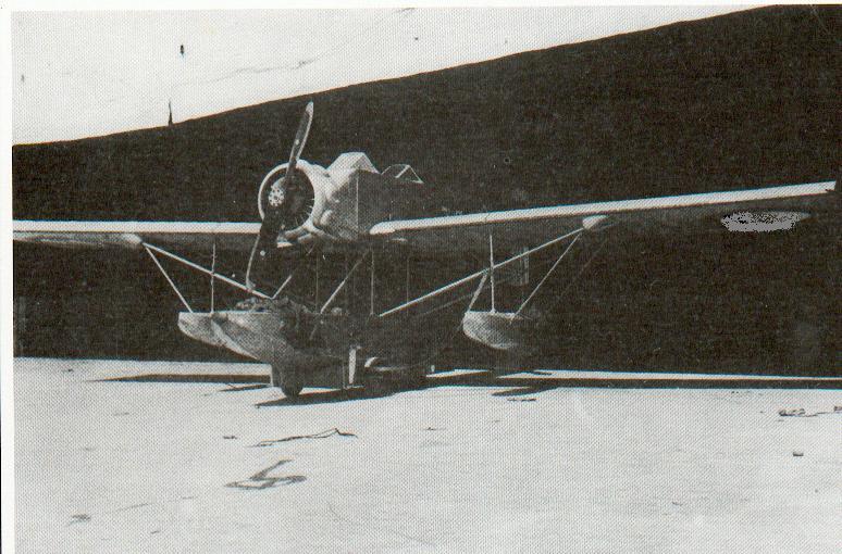 petrel.jpg