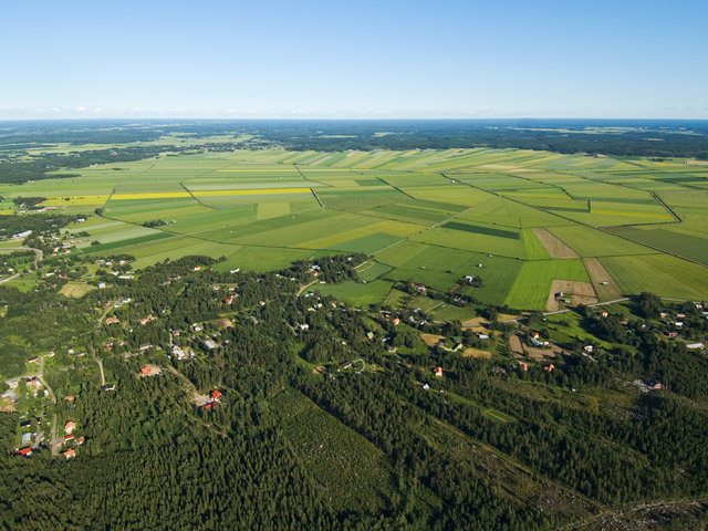 område.jpg