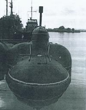 piranha.jpg