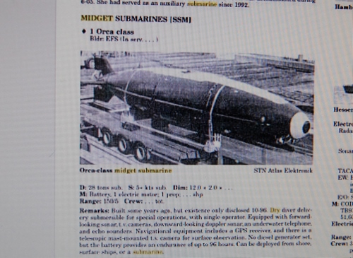 orca 2.jpg
