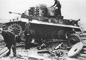 tiger12.jpeg