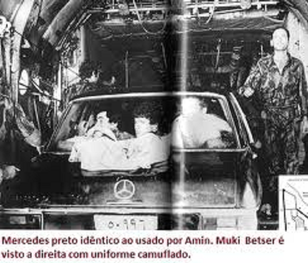 lastas in i Herculesen....png