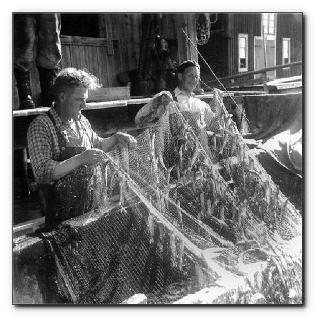 gott fiskafaenge.jpg