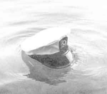 ...som en vit svan.....jpg