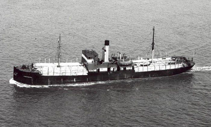 ss RIBERSBORG 1171grt med traelast.jpg