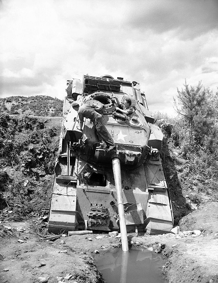 en feleant dricker med snabeln.jpg