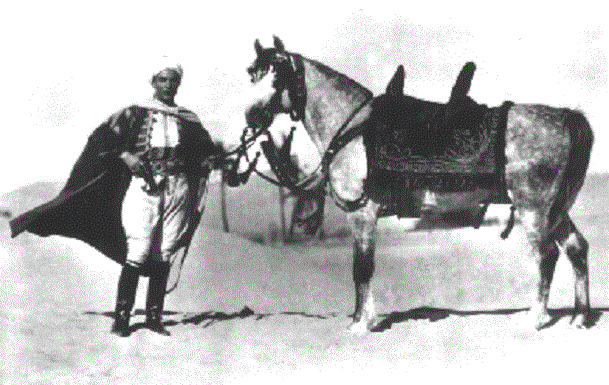 firad, levande som doed....gif