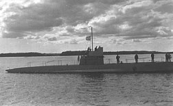 PSaukko-1.jpg