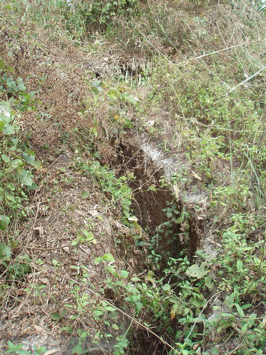 Skyttegrav idag Gabrielle.JPG