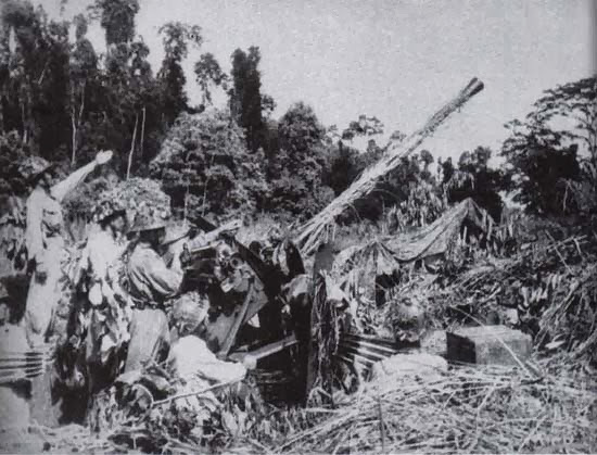 Effektivt luftvarn.jpg