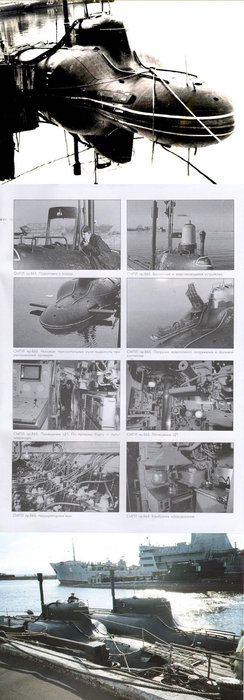 Project 865 Piranha.jpg