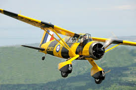 avknoppning av detta....jpg