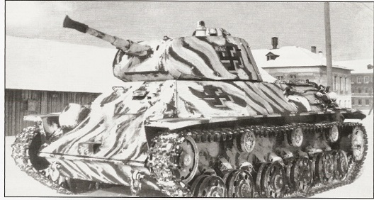 ett strimmigt djur....jpg