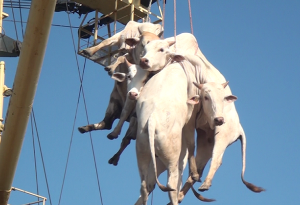 Port of Kismaayo.png