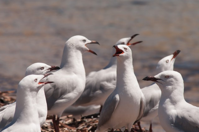 a clear and present danger......png