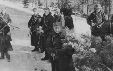 Skalman.jpg