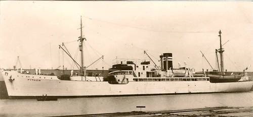 f.d. bananbaaten PYTHON.jpg