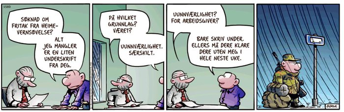hemvärn.JPG