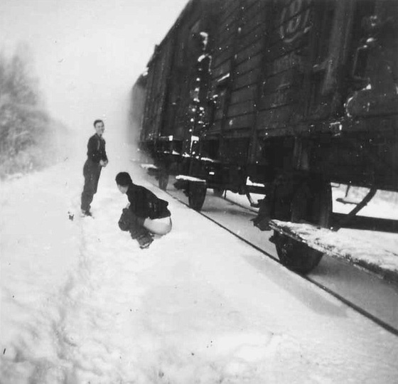 kallt med bart aschle......jpg