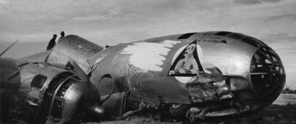 enligt MD på rätt plats - marken.jpg