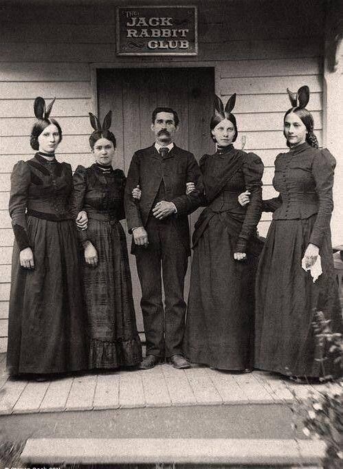 jack rabbit.jpg