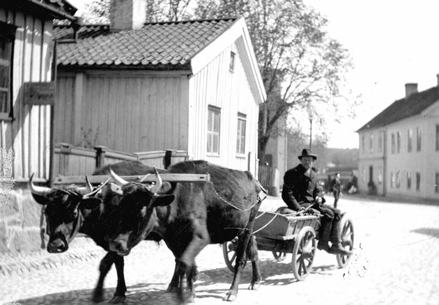 oxar i vimmerby 50-tal.jpg