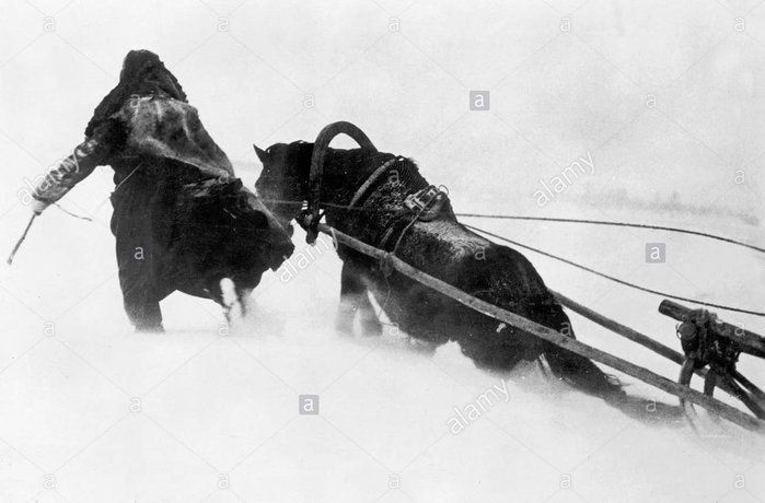 panje-horse-sled-in-russia-1942-C453H8.jpg