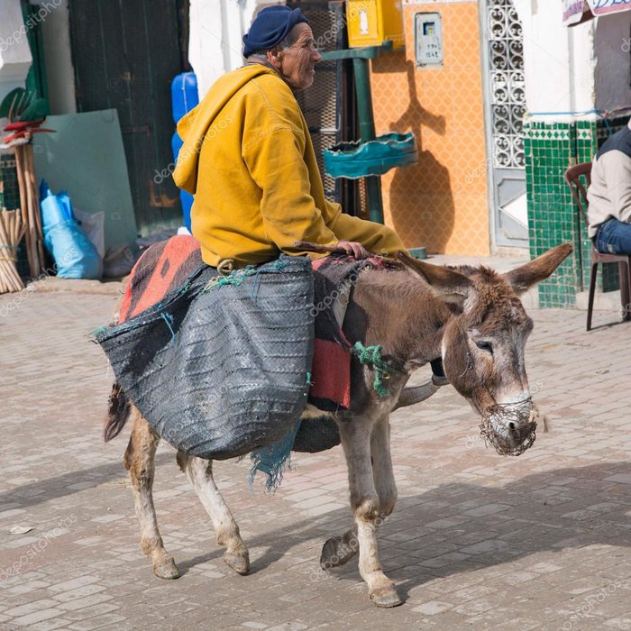 donkey.jpg (174.66 KiB) Visad 2562 gånger donkey.jpg