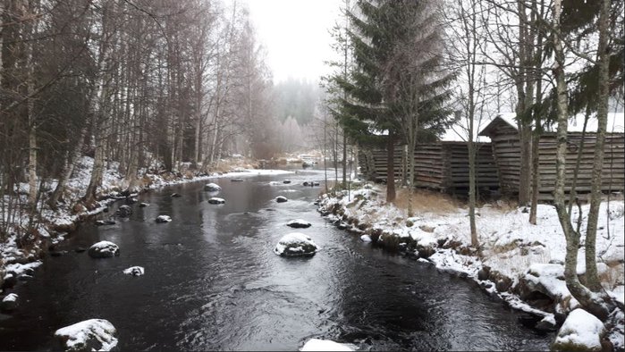 melajoki.JPG