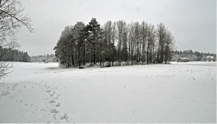 ravattula5.JPG