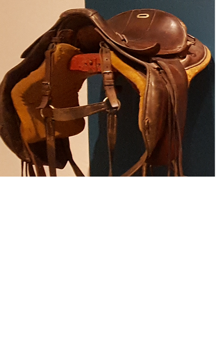 Kavallerisadel.png