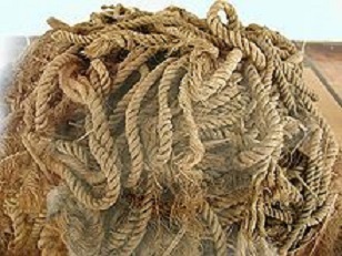 gammalt taagvirke.jpg