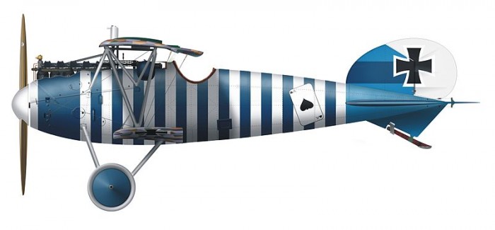 800px-Albatros_Bohning_Herbert.jpg