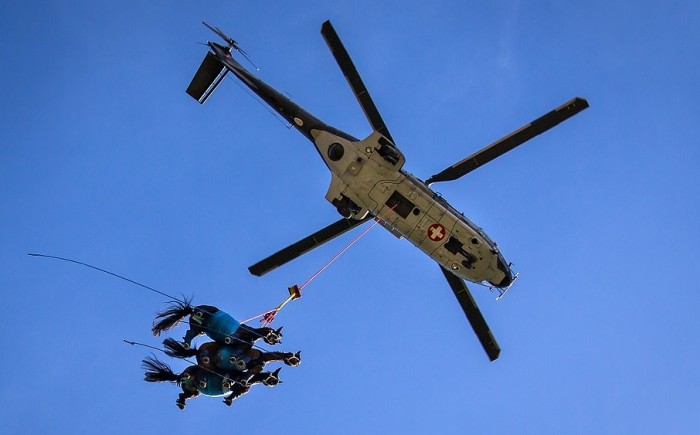 häst_och_superpuma.jpg