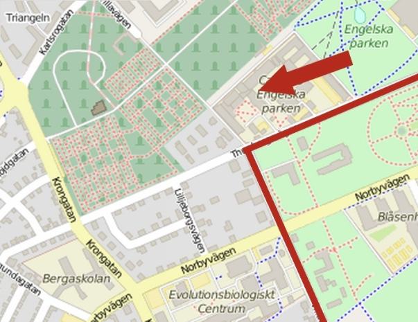 rödpil.png
