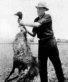 240px-Deceased_emu_during_Emu_War.jpg