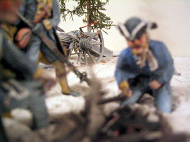 Armfeld karoliner5.jpg