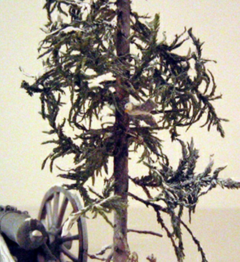 Armfeld karoliner11.jpg