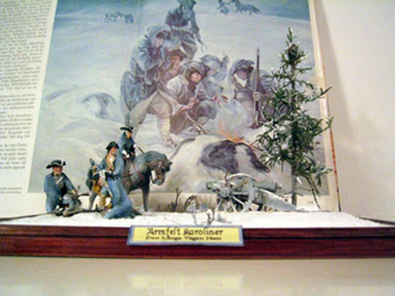 Armfeld karoliner15.jpg